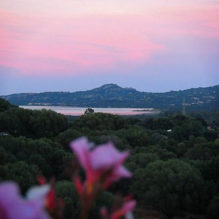 Agriturismo Sa Mendhula Cugnana Rum bild