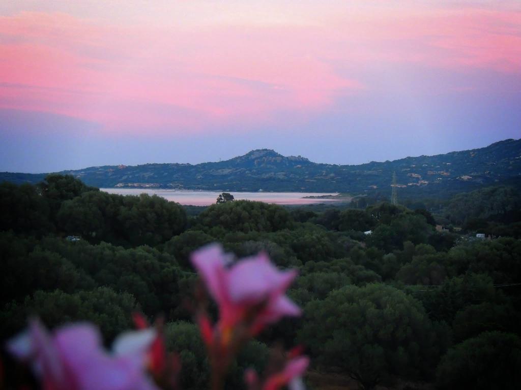 Agriturismo Sa Mendhula Cugnana Rum bild