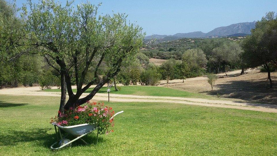 Agriturismo Sa Mendhula Cugnana Exteriör bild
