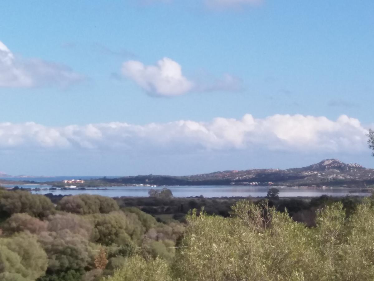 Agriturismo Sa Mendhula Cugnana Exteriör bild