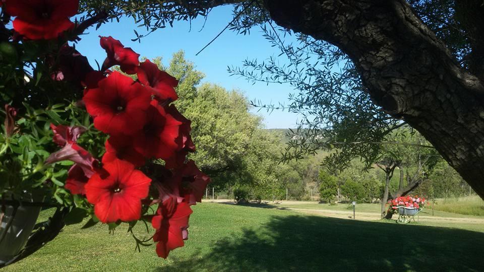 Agriturismo Sa Mendhula Cugnana Exteriör bild