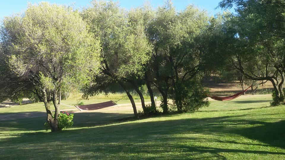 Agriturismo Sa Mendhula Cugnana Exteriör bild