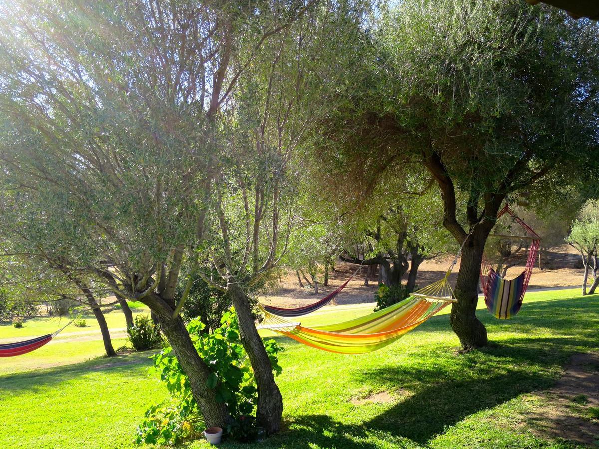 Agriturismo Sa Mendhula Cugnana Exteriör bild